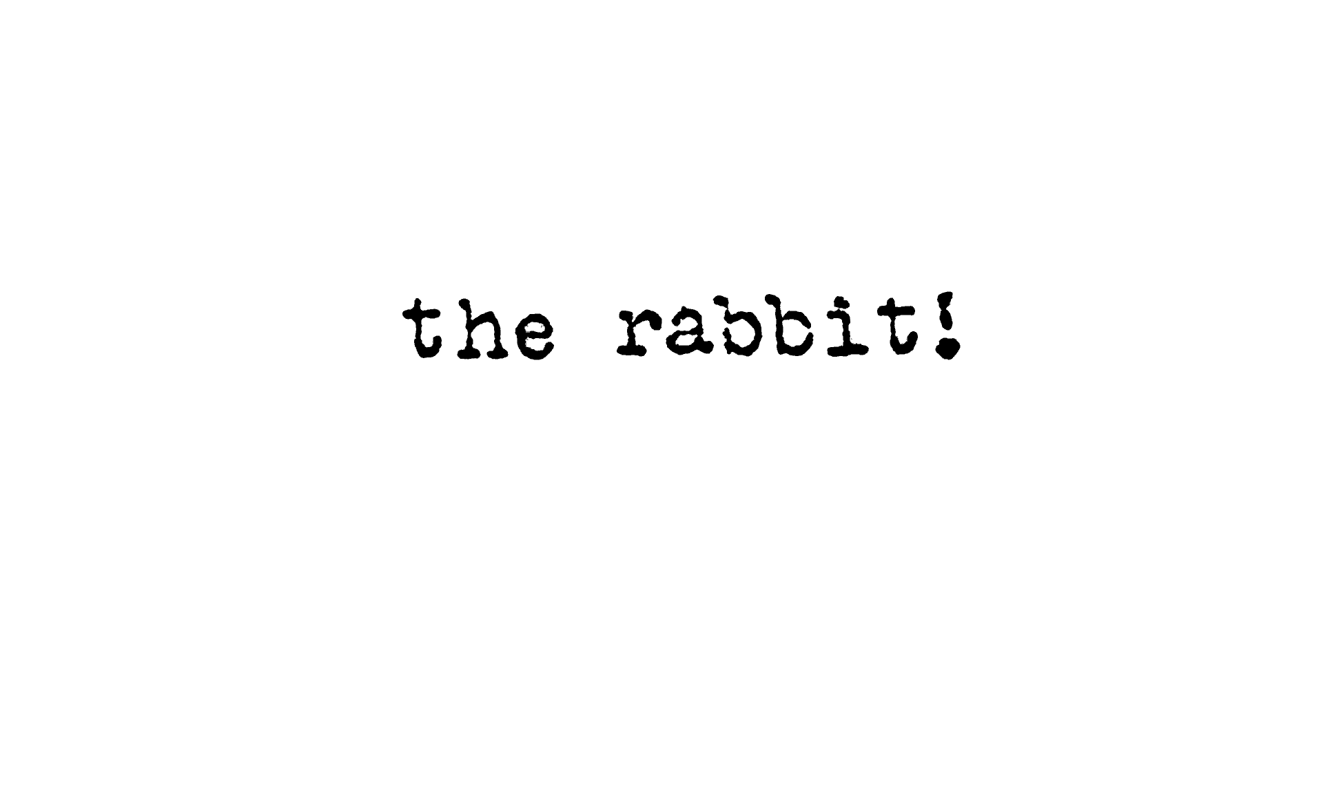 the-rabbit!-02-new.gif