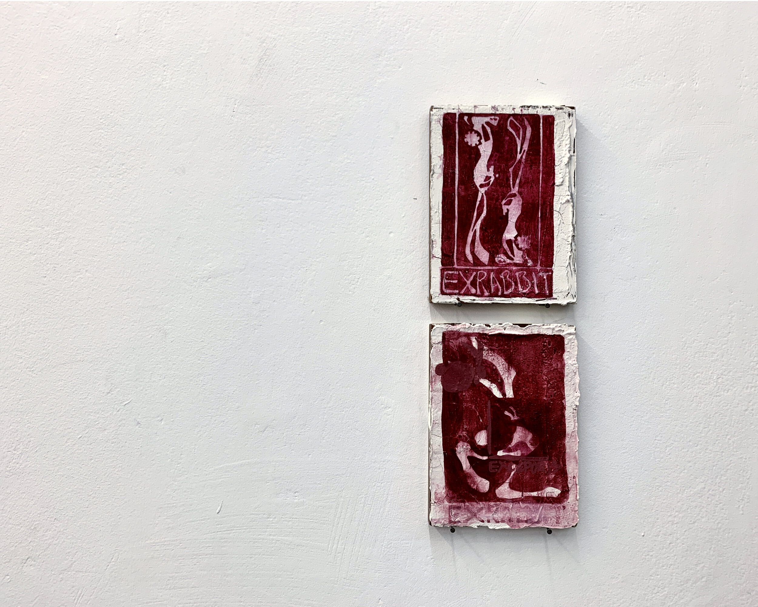 Ex Rabbit rectangle.jpg