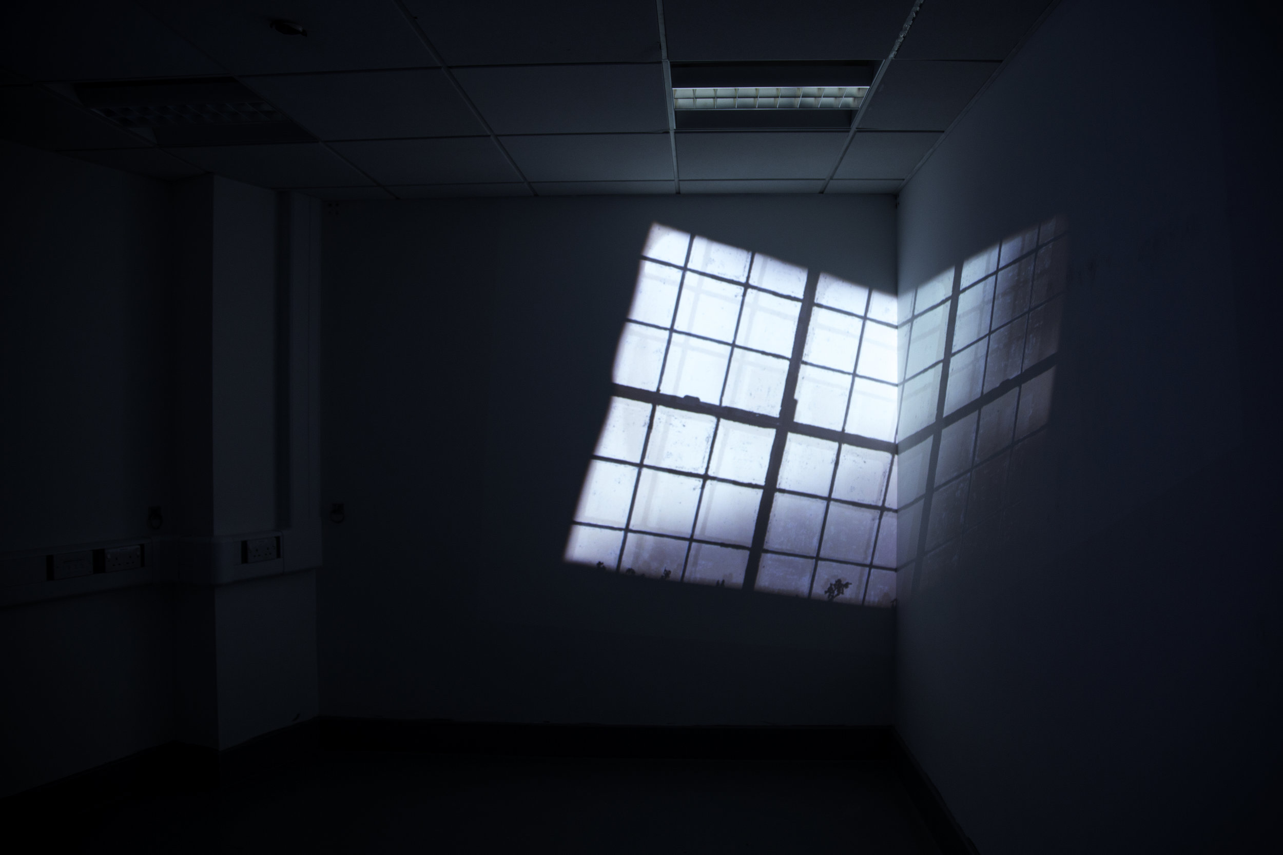 projected window.jpg